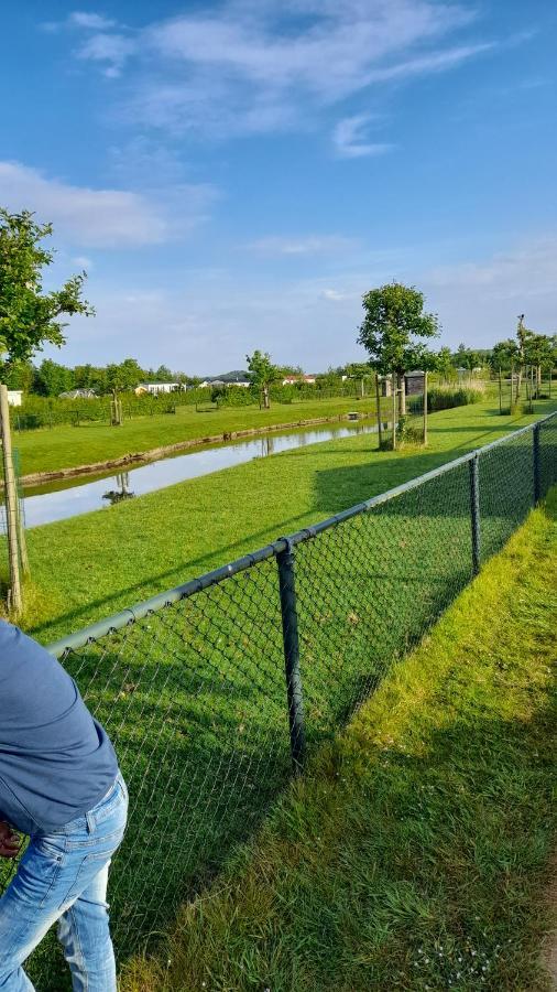 'T Blauwtje Baarland Villa Eksteriør bilde