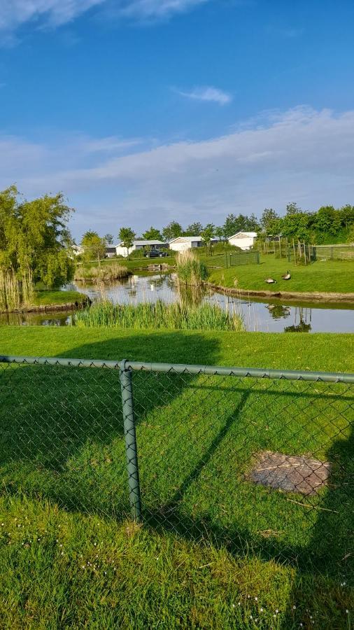 'T Blauwtje Baarland Villa Eksteriør bilde